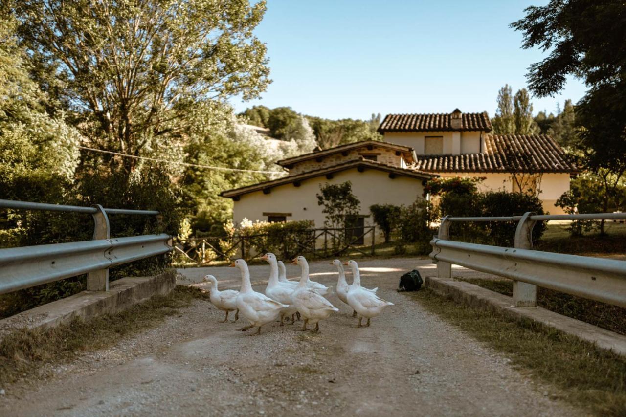 Agriturismo Le Radici Umbertide Exterior photo