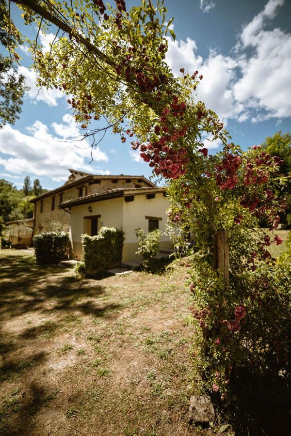 Agriturismo Le Radici Umbertide Exterior photo